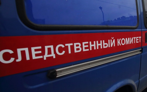 Инфекционное заболевание выявлено у детей в лагере в Новосибирской области