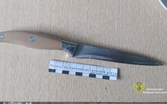 Житель Хабаровского края из-за ревности убил жену и соседа