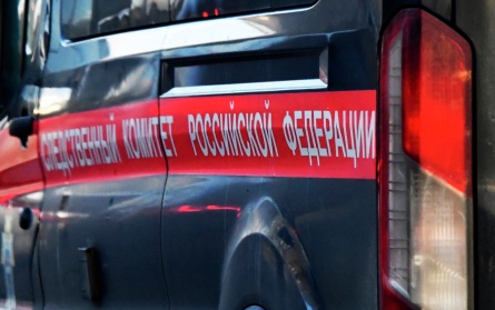 В Челябинске возбудили дело после травмирования женщины при наезде самоката