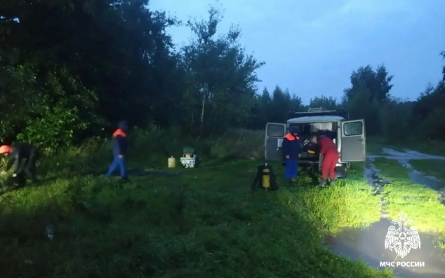 В Электростали в пруду утонул ребенок