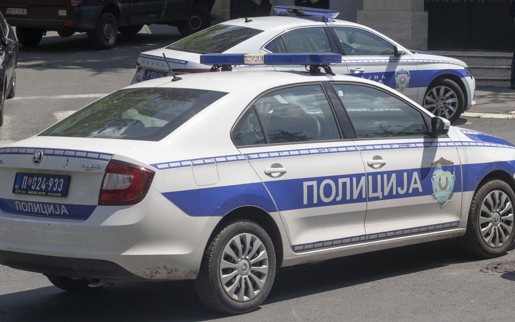Тело убитой в Белграде россиянки нашел полицейский пес
