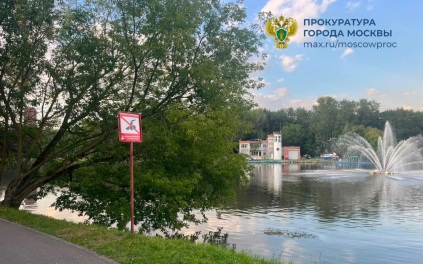 Девочка утонула в пруду в Люблино, результаты проверки контролирует прокуратура
