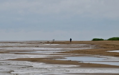 Губернатор Дрозденко объяснил, почему Ладога обмелела