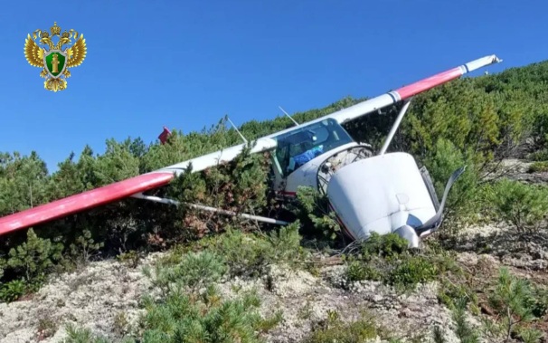 Опубликованы кадры с места падения самолета Cessna в Иркутской области