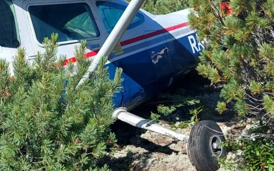 Пилоты рухнувшего Cessna-182 рассказали, что видели диких животных в лесу