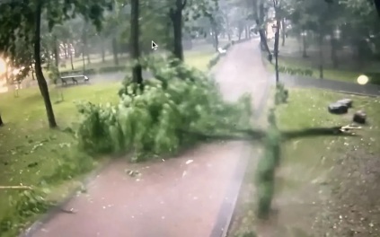 Ребенок и женщина погибли из-за рухнувших деревьев во время урагана в Смоленске