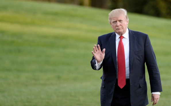 Трамп за 18 месяцев упоминал газоны как минимум 45 раз