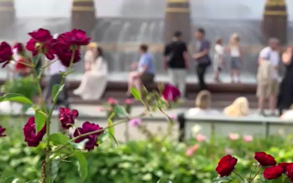 В Гидрометцентре рассказали, продолжится ли жара в Москве