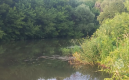 В пруду в Дагестане утонули двое детей