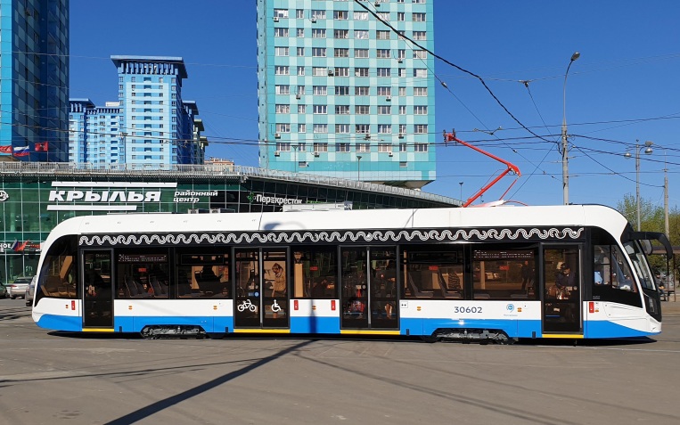 Трамваи задерживаются на севере Москвы из-за дерева на контактной сети