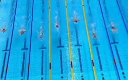 Глава European Aquatics: Казань может принять ЧЕ по водным видам спорта