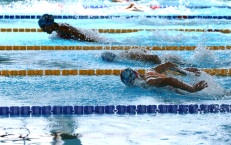 European Aquatics заявила о готовности допускать россиян на турниры с флагом