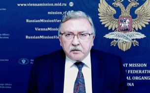 Ульянов раскритиковал чиновников Франции, говорящих о причастности РФ к пожарам