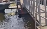 Прокуратура проверит факт травмирования ребенка во время купания в Петербурге