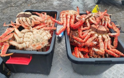 Двое сахалинцев подозреваются в незаконной добыче камчатского краба