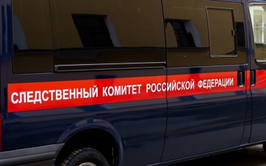 У обвиняемого в убийстве мальчика петербужца нашли детское порно