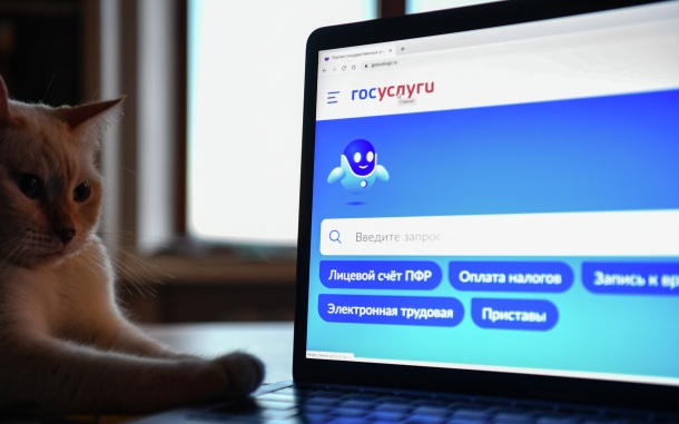 На "Госуслугах" число заявлений в колледжи выросло на треть