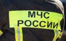 В Вологодской области 2-й день ищут мужчину, заблудившегося в лесу
