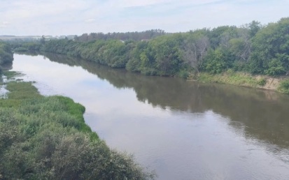В Новосибирской области ищут тело ребенка, утонувшего в водоеме