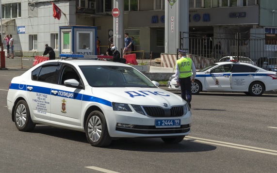 В Москве полицейские по камерам нашли сбежавшую из-за салюта овчарку