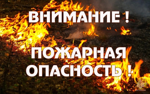 МЧС: особый противопожарный режим действует в Курганской области
