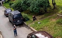 Установлена личность девочки, кинувшей камень в голову инвалида в Приморье