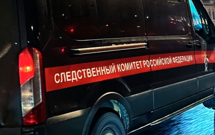 На Камчатке обнаружили тело мужчины с огнестрельным ранением, возбуждено дело