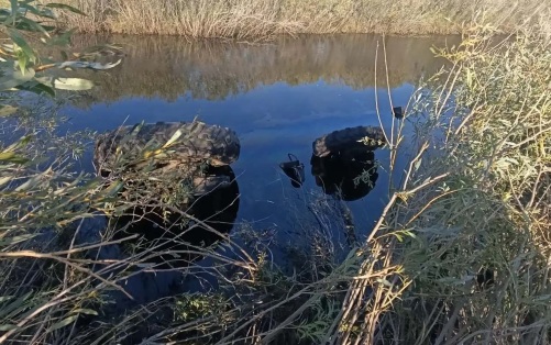 В Бурятии трактор съехал в реку, его водитель утонул