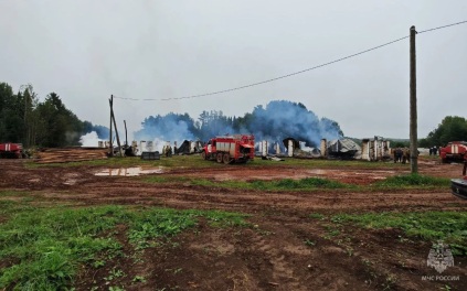 В Кировской области сгорела ферма, погибли 26 овец и около 500 голов птицы