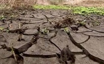 Эксперт: российская "Вода в пустыне" спасет Центральную Азию от засухи