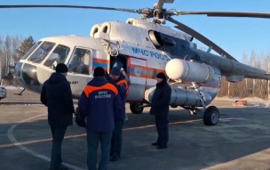 Первая группа туристов вылетела с площадки "Мертвый лес" на камчатском Толбачике