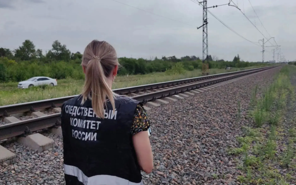 Грузовой поезд насмерть сбил женщину в Омской области