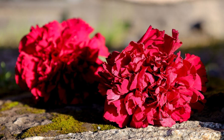 Скончался народный артист КБР Камергоев, ему было 74 года