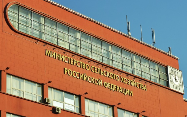 В РФ рассматривают возможность отменить пошлины на экспорт зерна до конца года