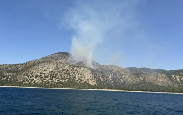 В заповеднике "Утриш" в Анапе вспыхнул крупный пожар после падения БПЛА