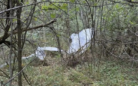 Власти Смоленской области предупредили грибников об обломках БПЛА в лесах