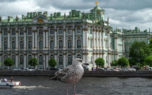 Эрмитаж 1 сентября сделает бесплатным вход для учителей и школьников