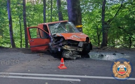 Водитель автомобиля погиб после столкновения с деревом в Калининградской области