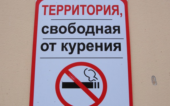 В России с сентября запретят продажу вейпов и сигарет на остановках