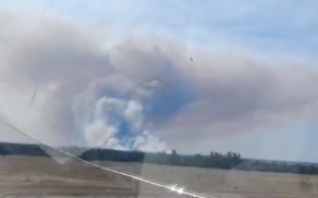 В Ростовской области ищут добровольцев для тушения лесного пожара