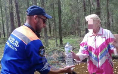 Спасатели в Ленобласти эвакуировали из леса женщину, которую покусали пчелы