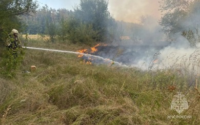 Площадь пожара в лесу в Ростовской области увеличилась до 170 га