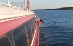 В Ярославской области теплоход сел на мель, организована проверка