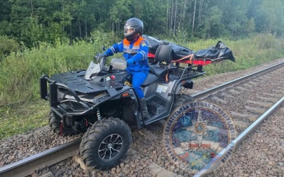 В Ленобласти два человека погибли на железной дороге