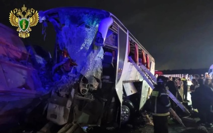 Граждане Грузии находились в рейсовом автобусе, попавшем в ДТП на Ставрополье