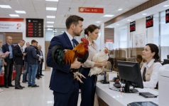 Россияне несут куриц в МФЦ из-за новых требований Россельхознадзора