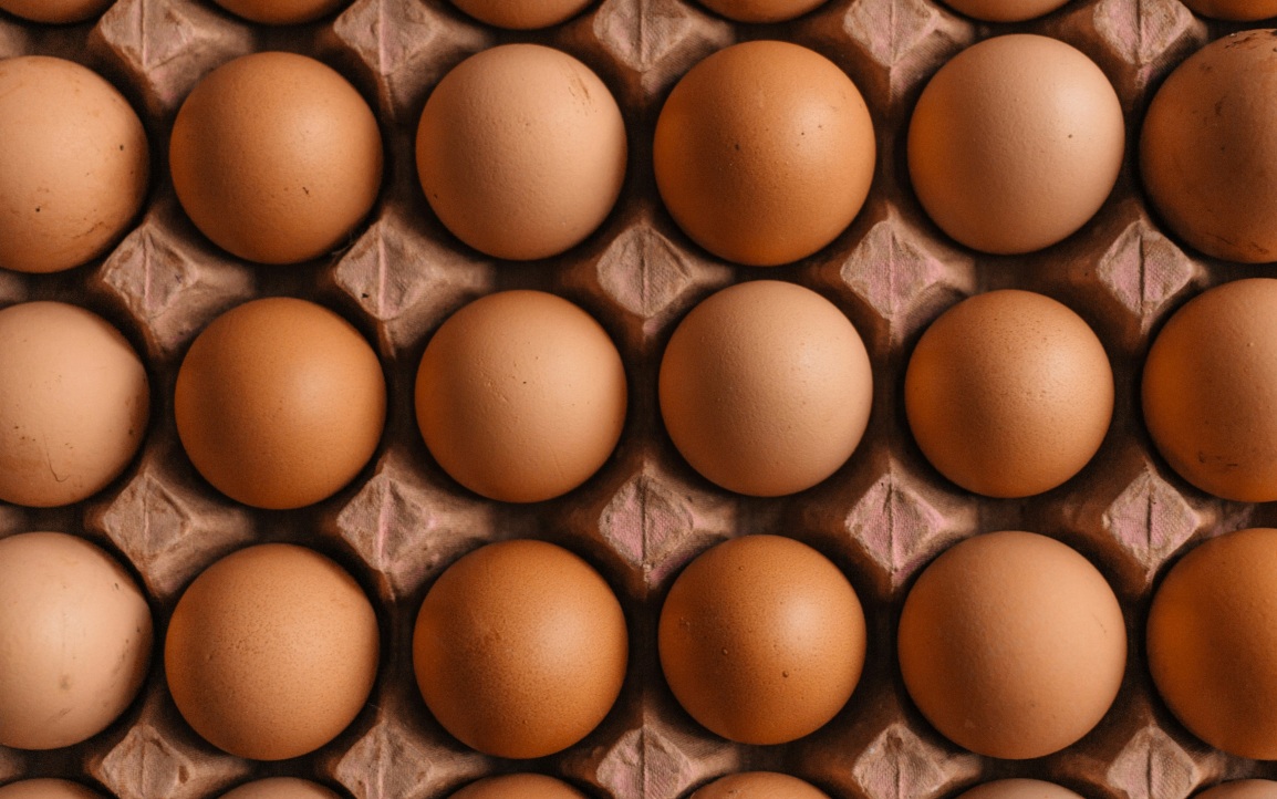 Категории яиц: как выбрать хороший продукт, в чем отличие видов и от чего зависит цвет скорлупы