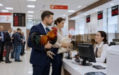 Россельхознадзор призвал не носить куриц в отделения МФЦ