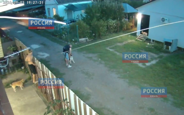 Под Краснодаром живодер натравил своих псов на собаку и отрубил ей голову мачете