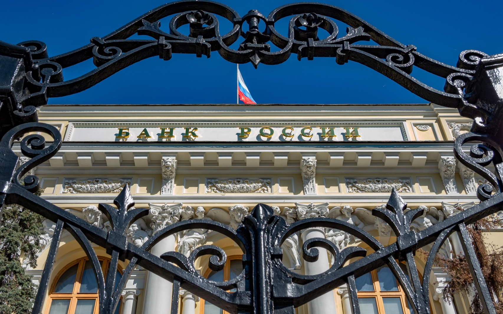 ЦБ РФ: половина россиян используют СБП как основной способ перевода средств